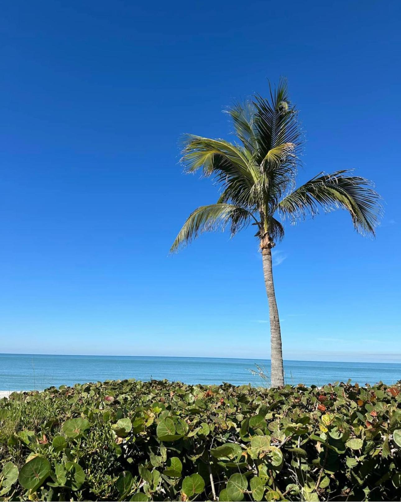Captiva Bayside Villas 1 Bedroom 2 Bath - Sleep 4 Captiva Island Exterior foto
